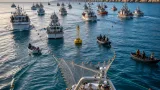 Comienza el 26 de octubre la prospección de langostino con 20 embarcaciones en Chubut