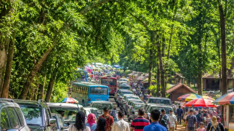 পূজার ছুটিতে লাউয়াছড়া ভিড়ে মুখর; পর্যটন-অর্থনীতিতে সজীবতা ফিরল