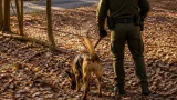 Ossada humana é encontrada por catador de castanhas na Zona Leste de Ariquemes