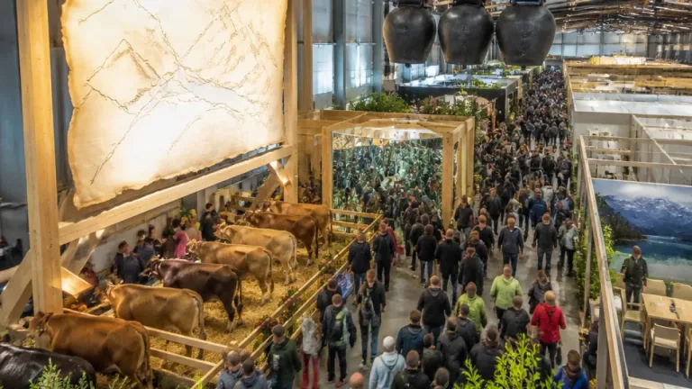 OLMA 2026 zieht über 335'000 Besucher an – Gastkanton Schwyz prägt die Messe