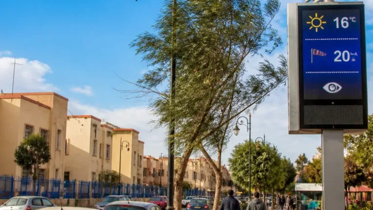 الطقس في الناظورة (تيارت): سماء غالبًا مشمسة ورياح نشطة مع ارتفاع تدريجي في درجات الحرارة