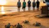 Cinco tortugas bobas nacidas en Nules regresan al mar tras programa de cría y recuperación