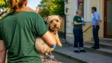 Vádat emeltek egy nő ellen, aki téglát kötött kistestű kutyája nyakára