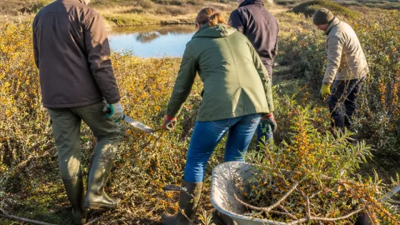 IJmuiden: collectanten halen bijna €69.000 op voor Nierstichting, lokale vrijwilligers opvallend actief