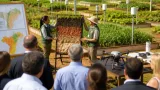 Brasil aposta em bioinsumos para afirmar liderança tecnológica na agricultura tropical