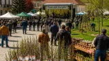 La Brezoi începe prima ediție a Festivalului Livezilor — între conservare, produse locale și cercetare