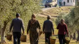 Farnesina sollecita spiegazioni dopo il fermo di quattro attiviste italiane in Cisgiordania