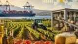 PAC, governo: recuperati 10 miliardi per l'agricoltura; stanziamento aggiuntivo per 'ColtivaItalia'