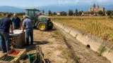 Sondrio: Coldiretti sollecita attuazione rapida dei 15 milioni per il caro gasolio agricolo