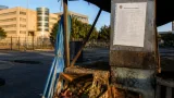 Johannesburg trader leaves after year of uncertainty over permit process